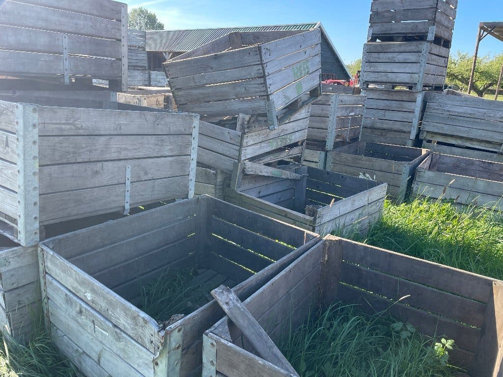 Haardhout van Frans — foto 2