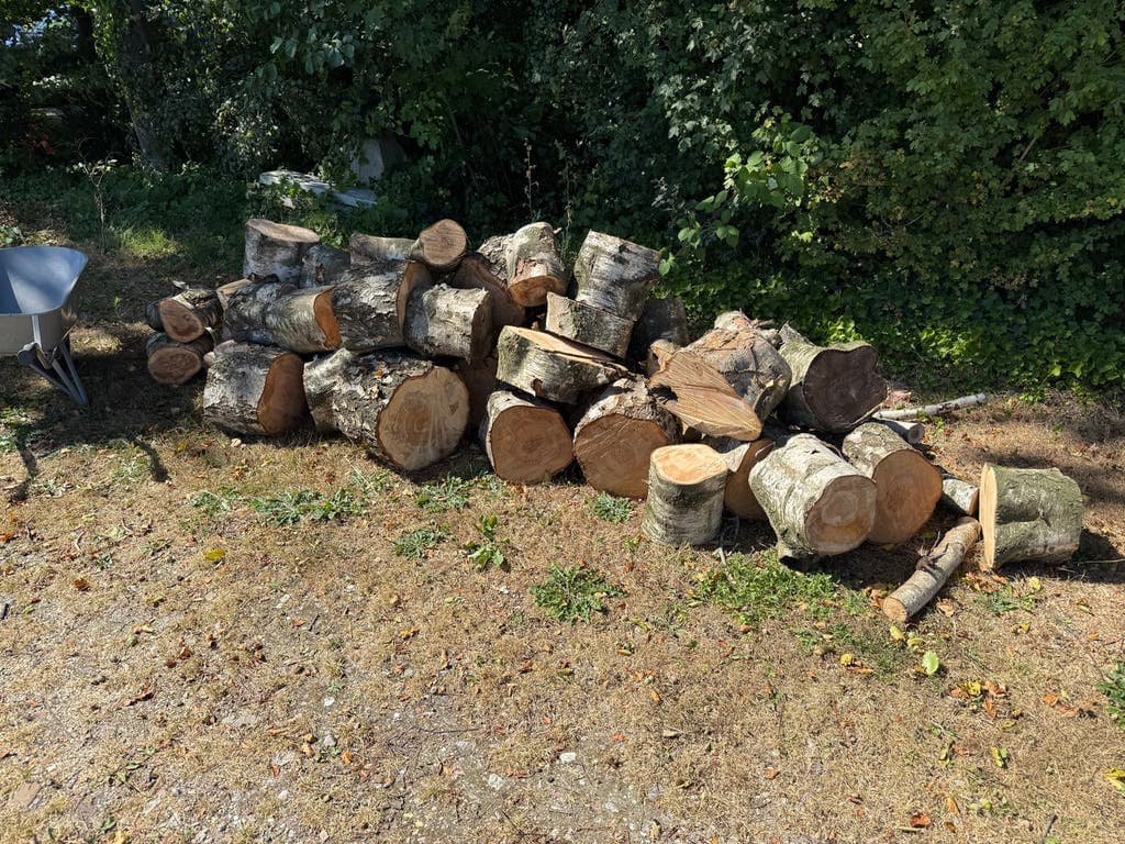 Haardhout van hugo — foto 2