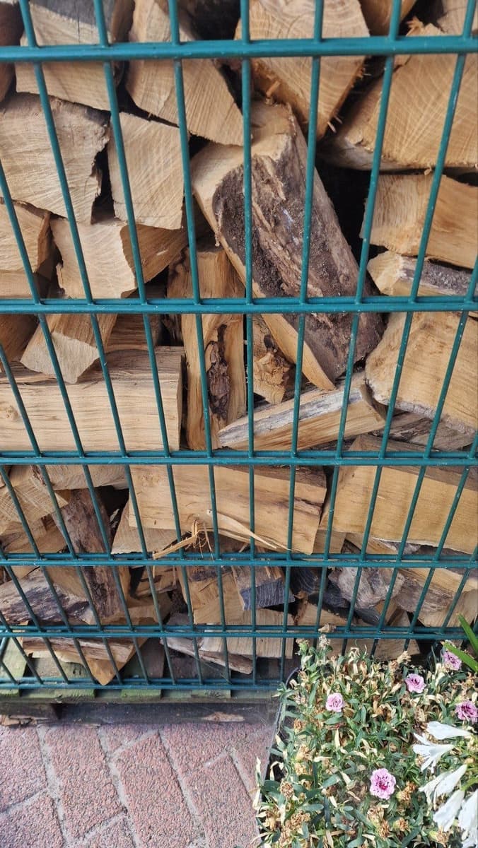 Haardhout van Klaas KJP — foto 2