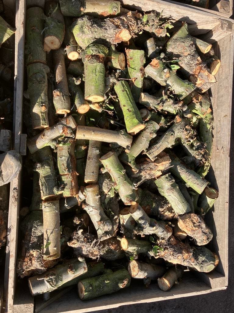 Haardhout van Mark (boerderijwinkel) — foto 2