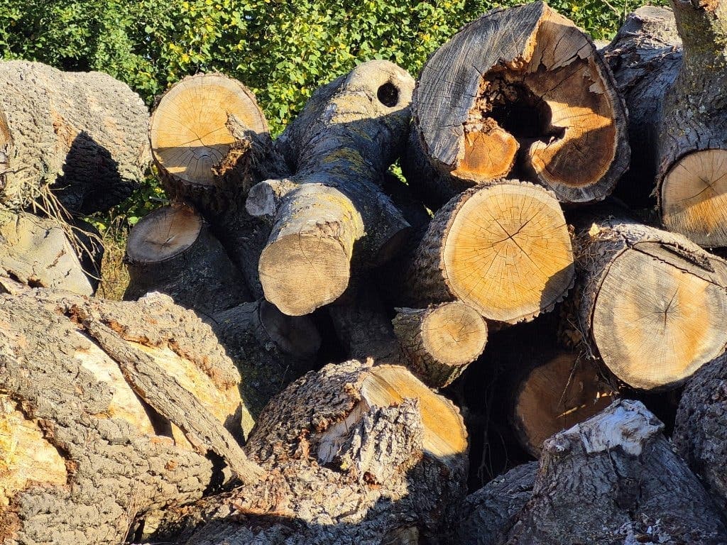 Haardhout van markteraa84 — foto 1